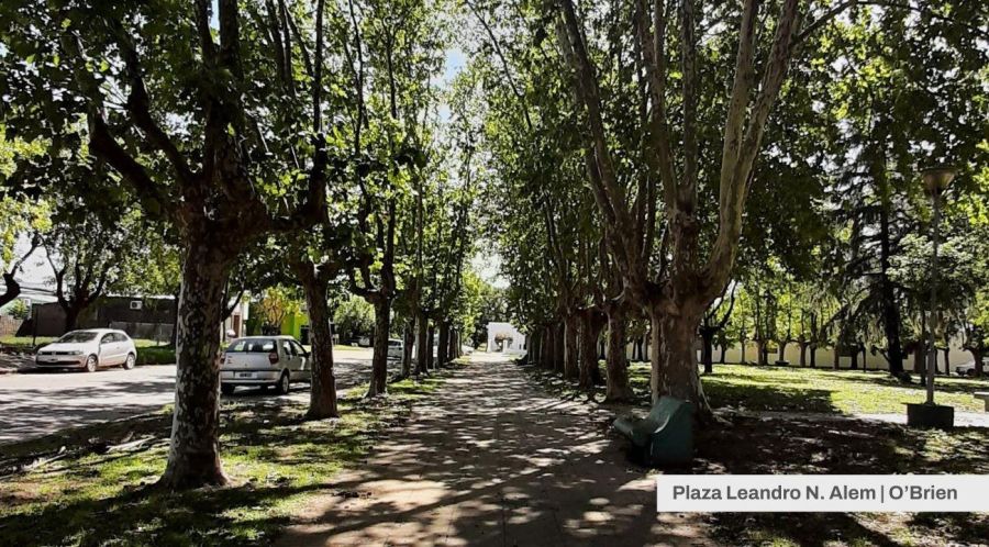 Vivir en un pueblo y trabajar para el mundo: Caro Diseña lo hizo realidad