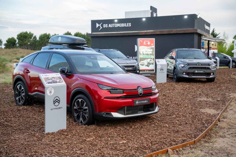 Chevrones en las dunas