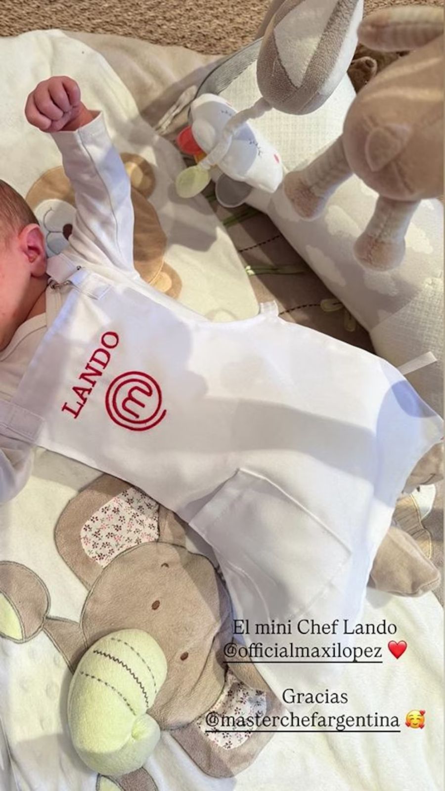 Daniela Christiansson publicó la tierna foto de Lando López, el hijo de Maxi, con el pequeño delantal de MasterChef