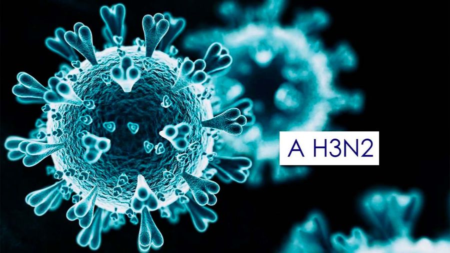 Santa Fe Gripe H3N2 21012026