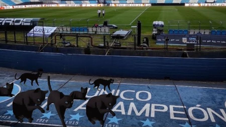 El mito de los siete gatos en el Cilindro: la leyenda que condicionó décadas de la historia de Racing