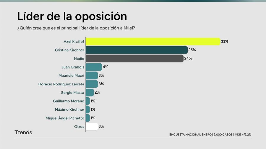 Líder de la oposición