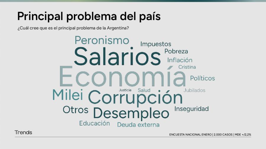 Principales problemas del pais