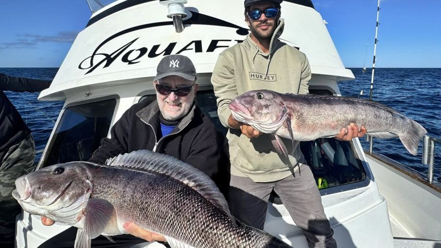 2301_mapa_pique_pesca