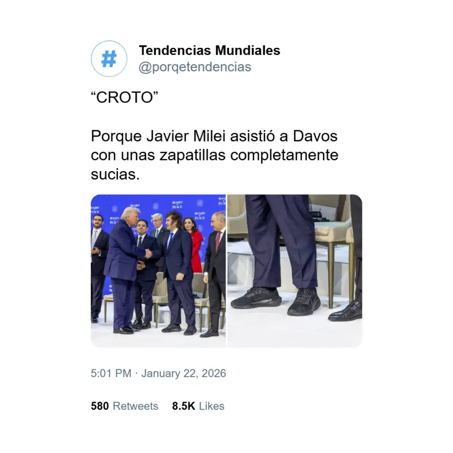 Memes sobre zapatillas de Milei 5