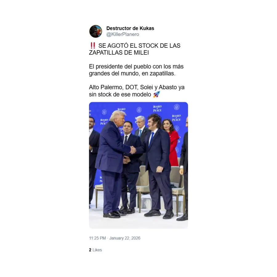 Memes sobre zapatillas de Milei 6