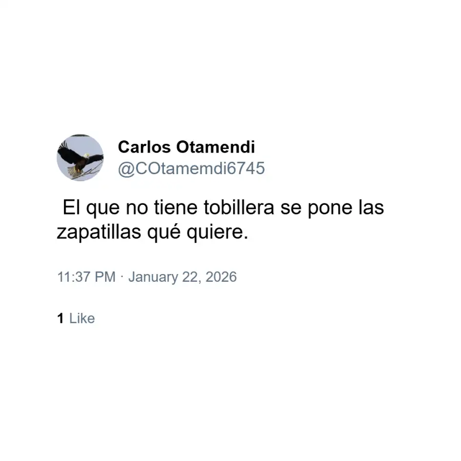 Memes sobre zapatillas de Milei 9