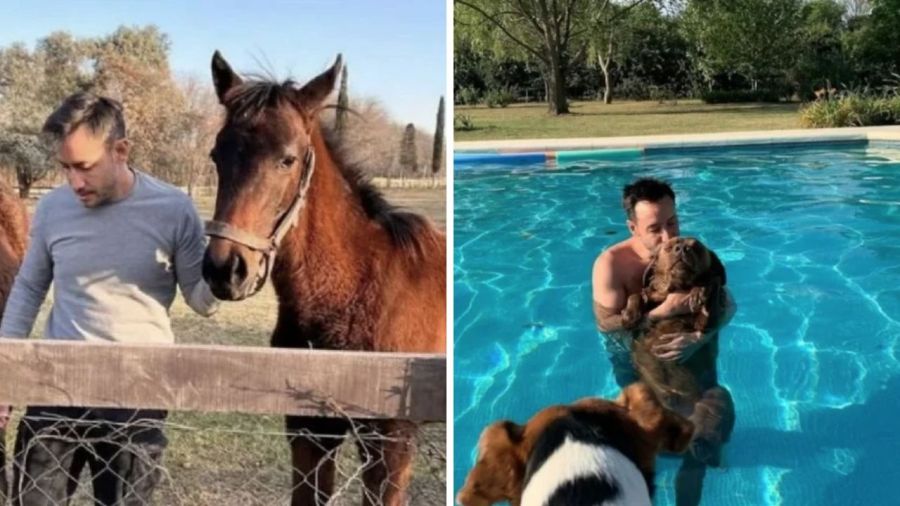 Casa de Luciano Pereyra