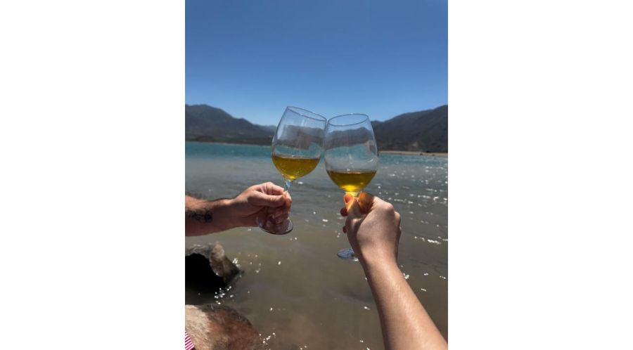 ¿Crisis en la copa? Menos vino, nuevas reglas y una generación que ya no bebe porque si