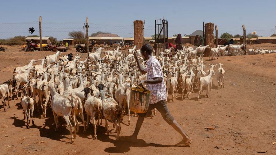 Kenia sequía clima 27012026