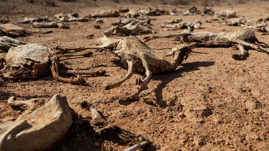 Kenia sequía clima 27012026