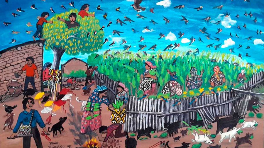 Bienal de Arte Indígena 28012026