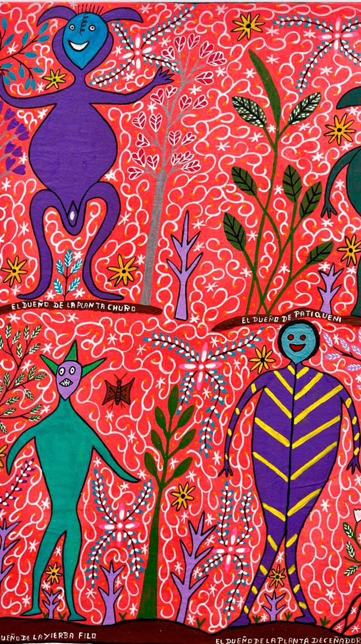 Bienal de Arte Indígena 28012026