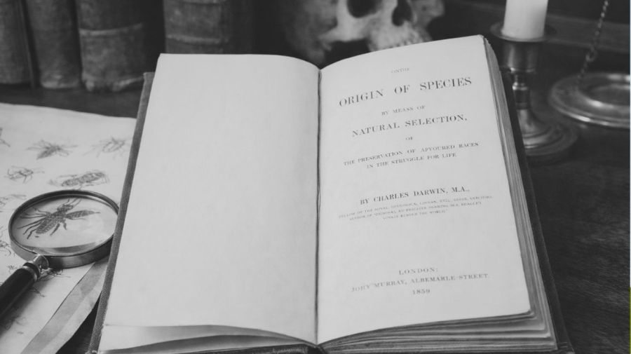 Charles Darwin se casó con su prima Emma Wedgwood