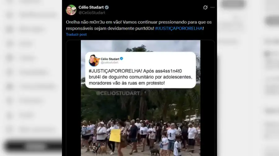 Marcha por el asesinato de un perro en Brasil