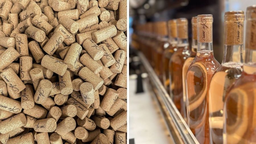 Nuevo negocio de Meghan Markle