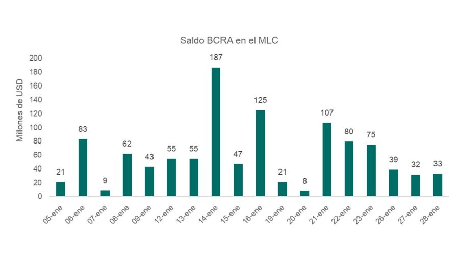 Reservas Banco Central 28012026