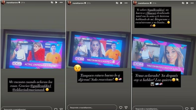 Descargo de Mimi Alvarado