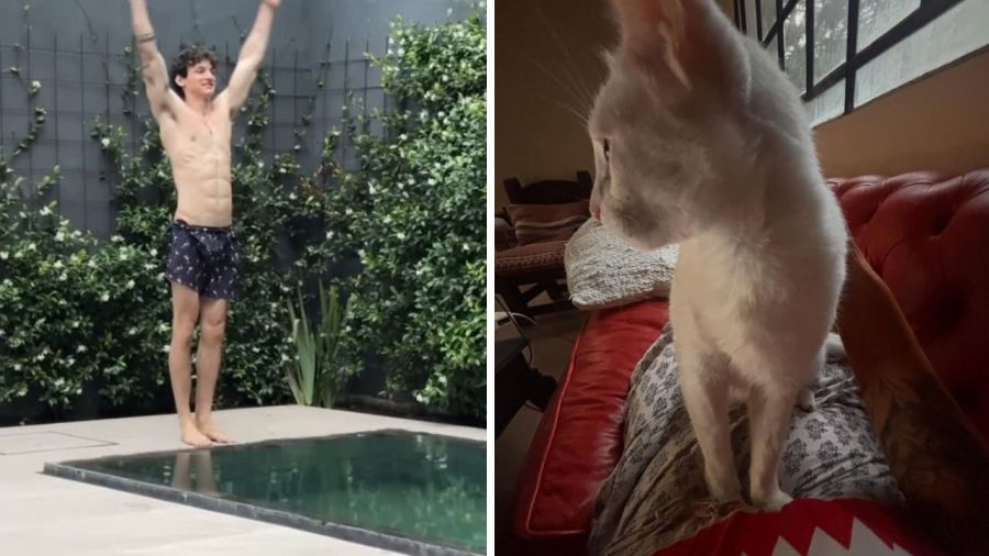 Casa de Ana Paula Dutil