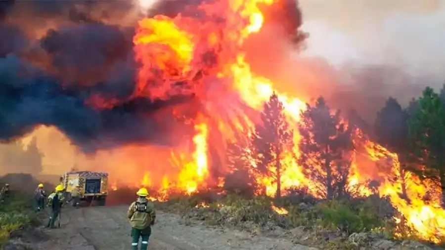 Incendio forestal