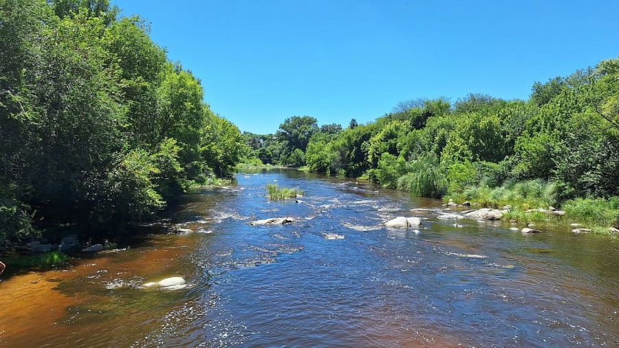 0203_villlalosaromos