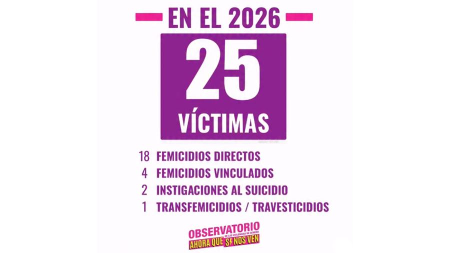 Un informe registró 25 femicidios en enero de 2026 20260203