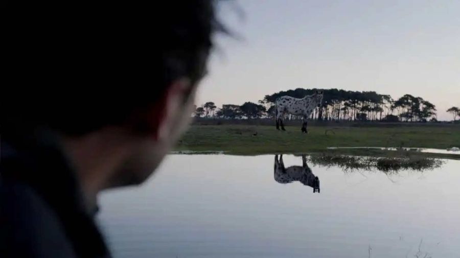 Ganadores del festival de cine de José Ignacio 20260204