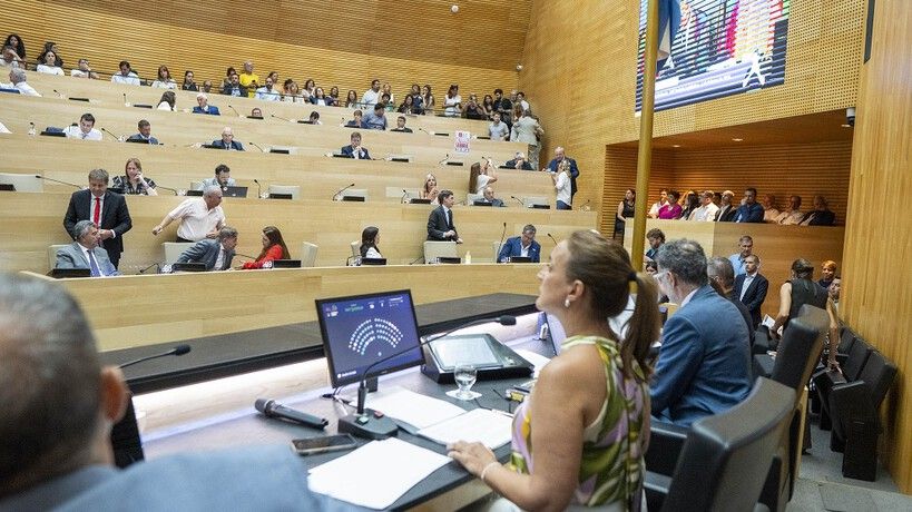 La oposición en la primera sesión del año 2026