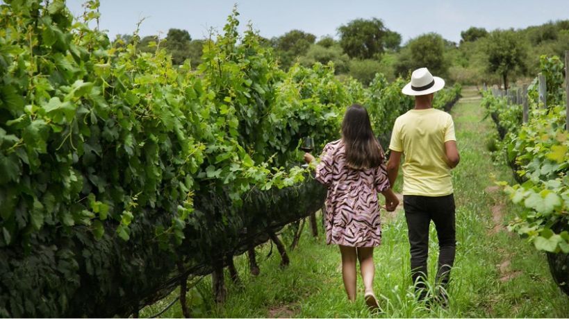 Posada & Bodega La Matilde