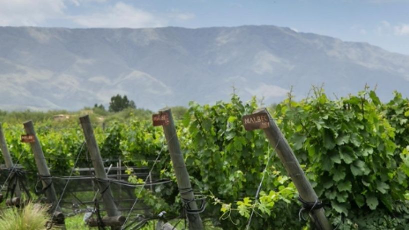 Posada & Bodega La Matilde