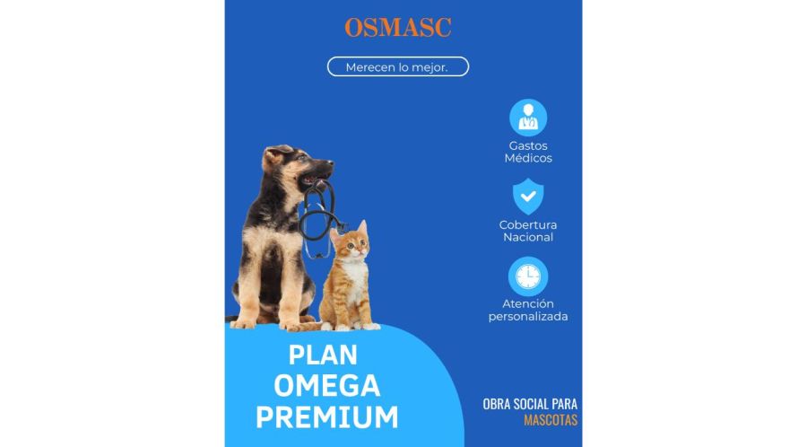 Tendencias en bienestar animal: del seguro médico al cuidado integral