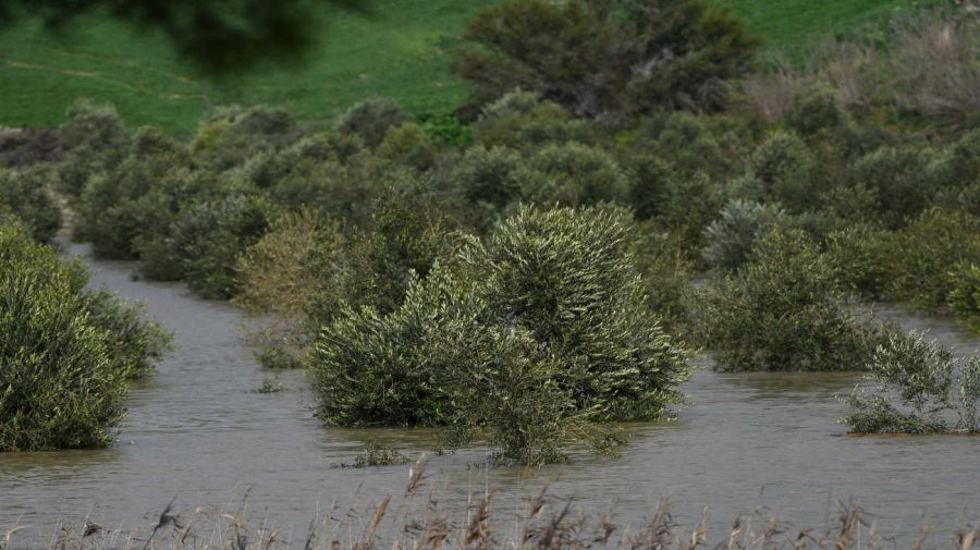 ESPAÑA TIEMPO CLIMA EMERGENCIA INUNDACIÓN 20260205