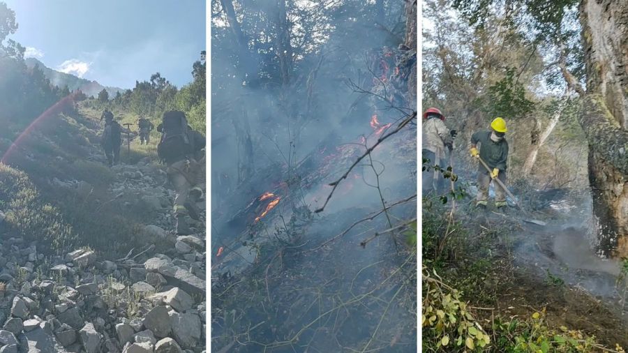 Julián Weich, Jerónimo Momo Weich