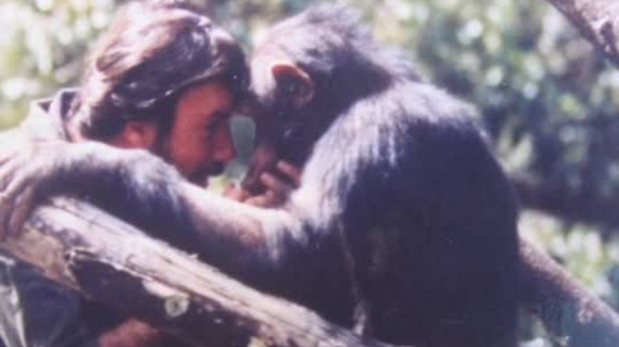 Muere Tomy, el chimpance de La Plata 05022026