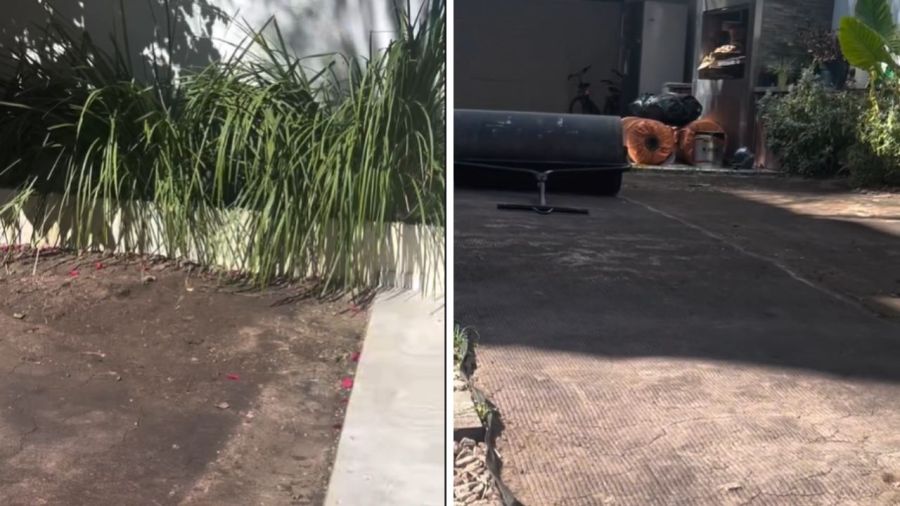 Nuevo Jardín de Julieta Prandi