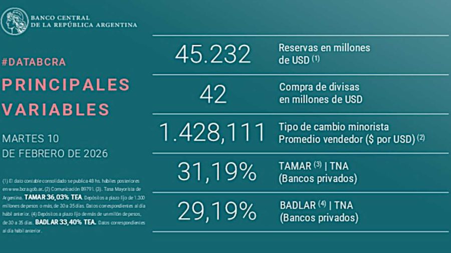 BCRA grafico 20260210