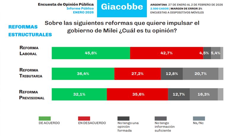 Acompañamiento a las reformas de Milei