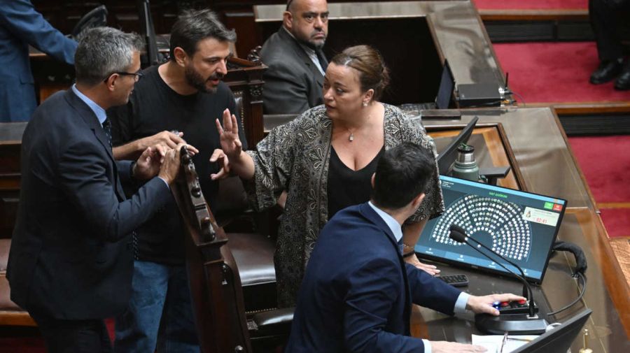 Cámara de Diputado 20260212