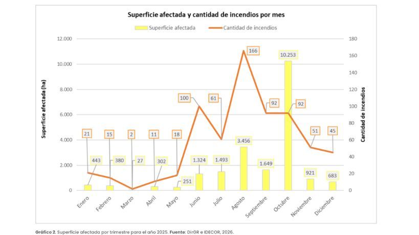 SUPERFICIE AFECTADA Y CANTIDAD DE INCENDIOS POR MES
