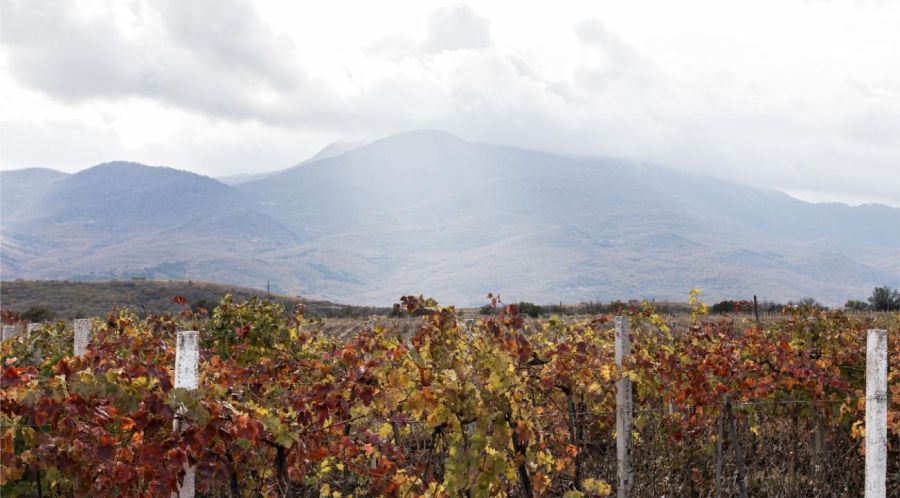 Turismo en Argentina y la solución perfecta de Oceana Suites