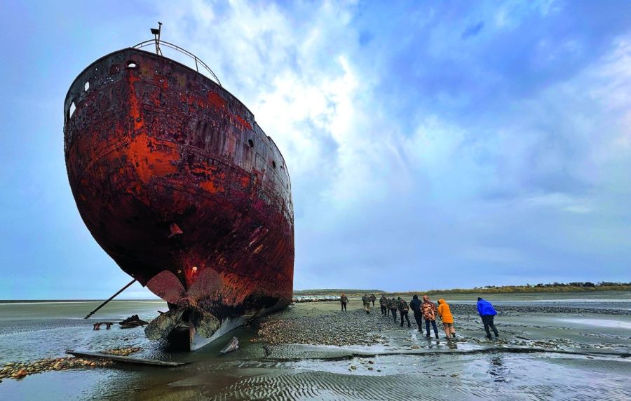 0218_contenidomarzo2026