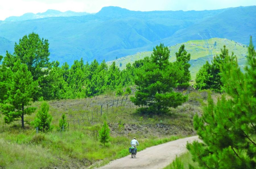 0218_contenidomarzo2026