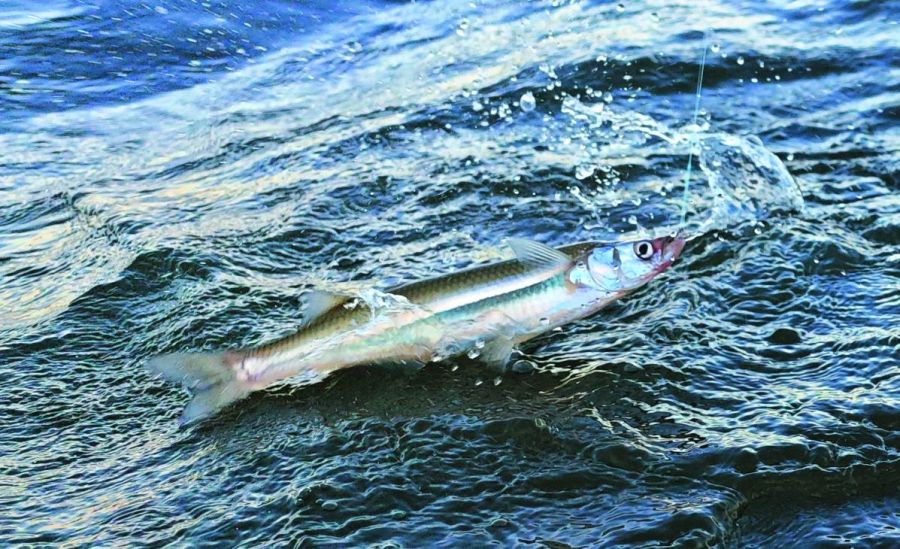 0218_contenidomarzo2026