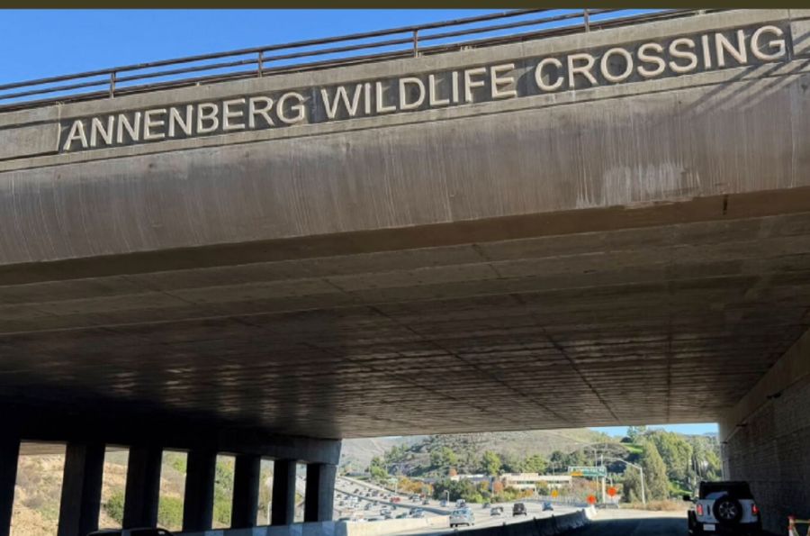 1802_puente california