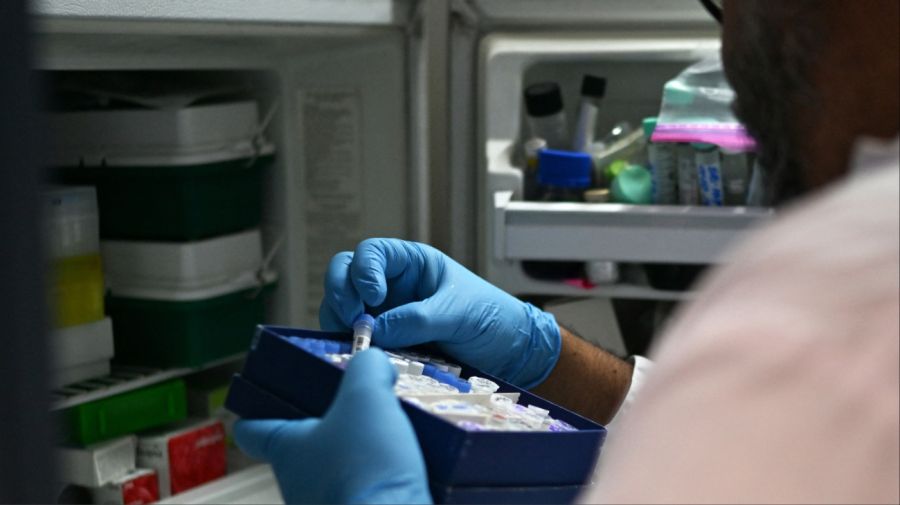 Influenza aviar avanza en la Antártida y amenaza a su fauna nativa