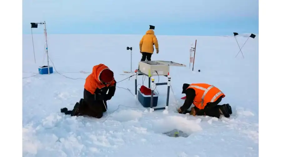Científicos Antártida 19022026