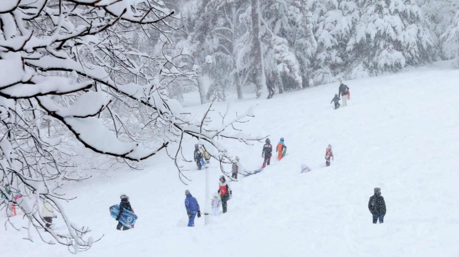 EE. UU. METEOROLOGÍA TORMENTA DE NIEVE 20260223