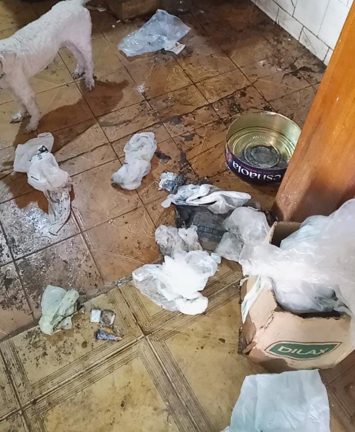 Así vivía Zulma Lobato