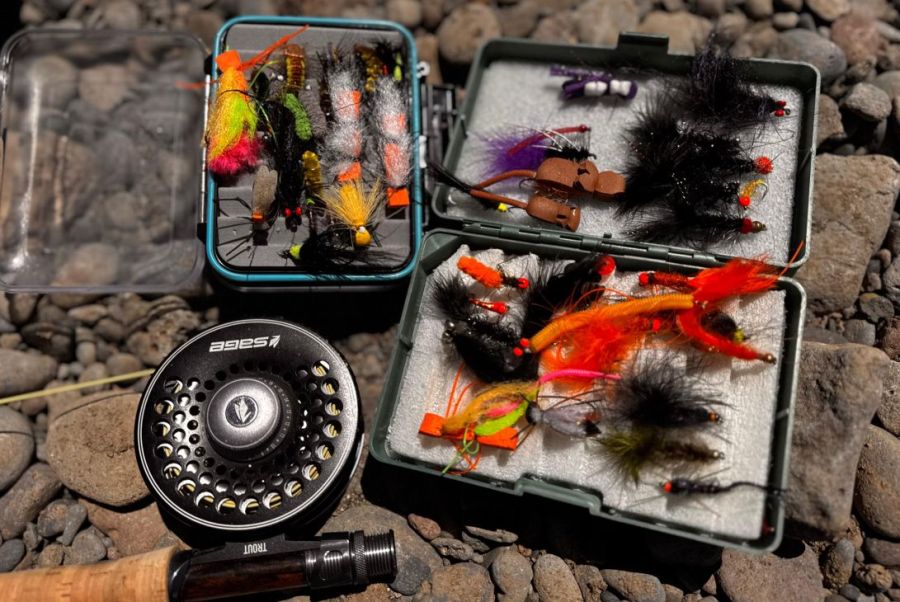 0227_truchasfrontoni