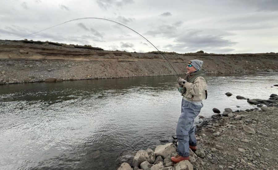 0227_truchasfrontoni